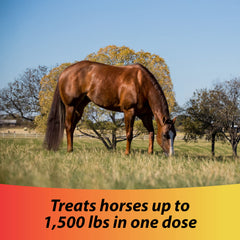 Farnam IverCare, dosis única para caballos, manejo sencillo.