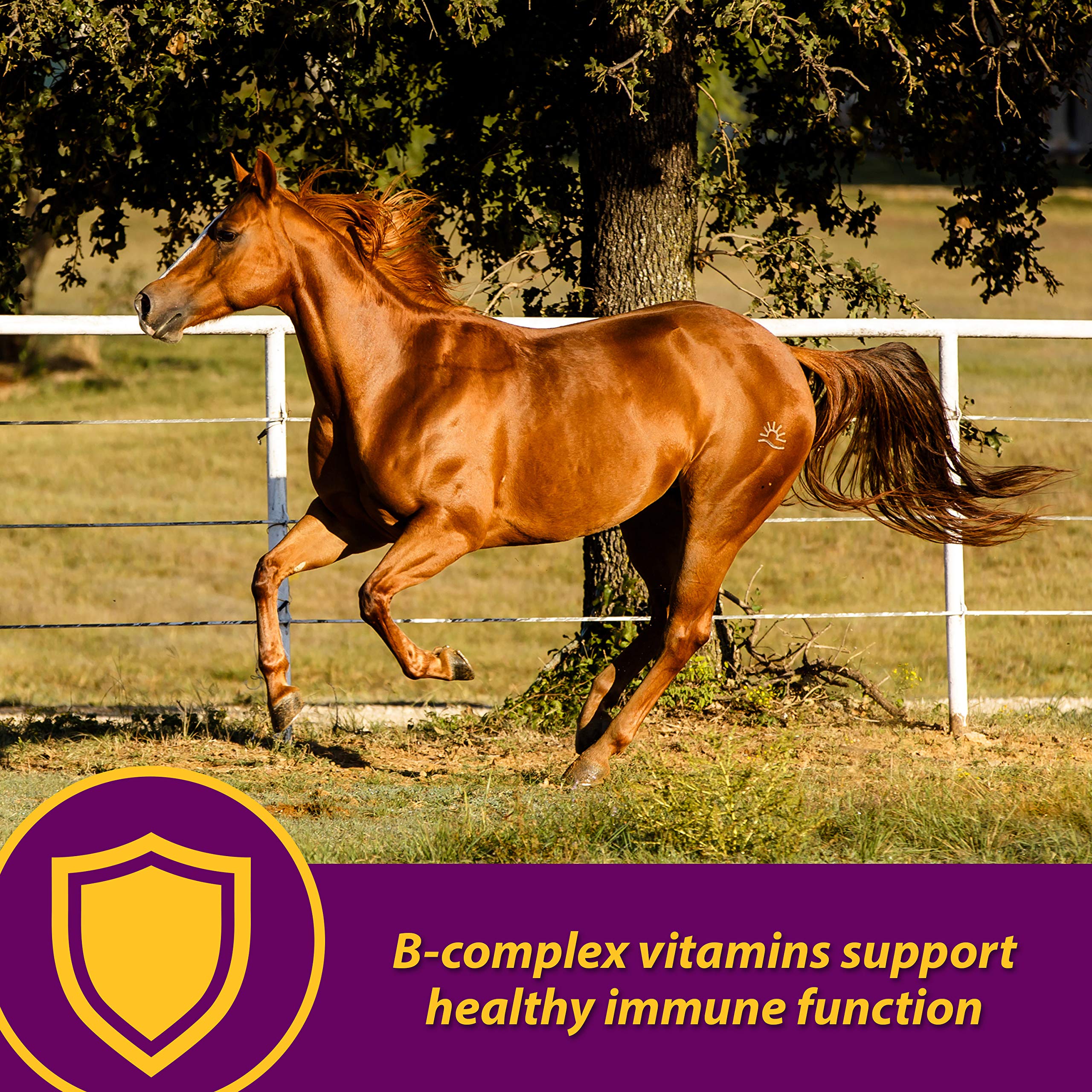 Dosificador de Farnam Red Cell para dosis diarias fáciles.