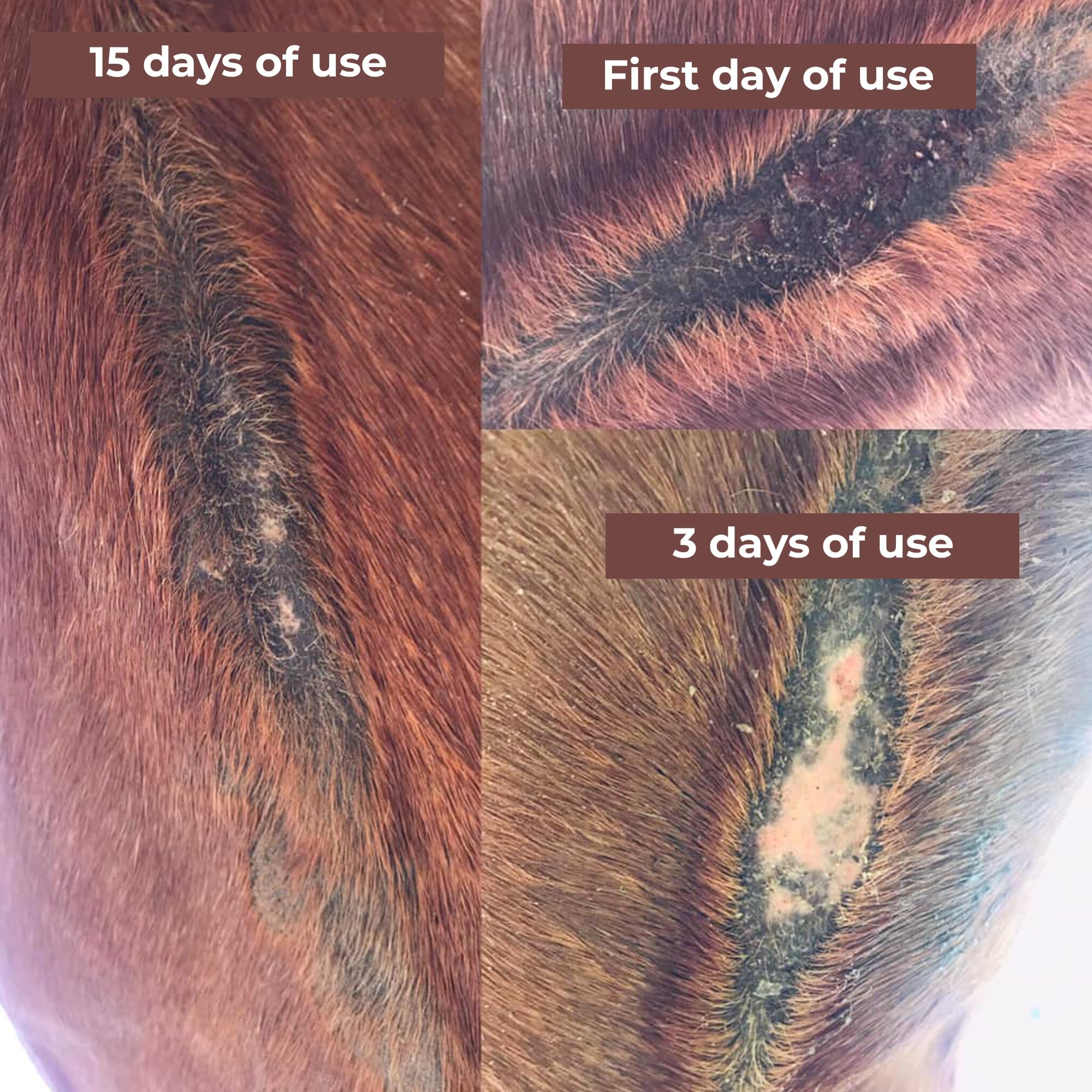 Farrier's Wife Belly Salve: muestra el efecto refrescante al aplicar sobre irritaciones.