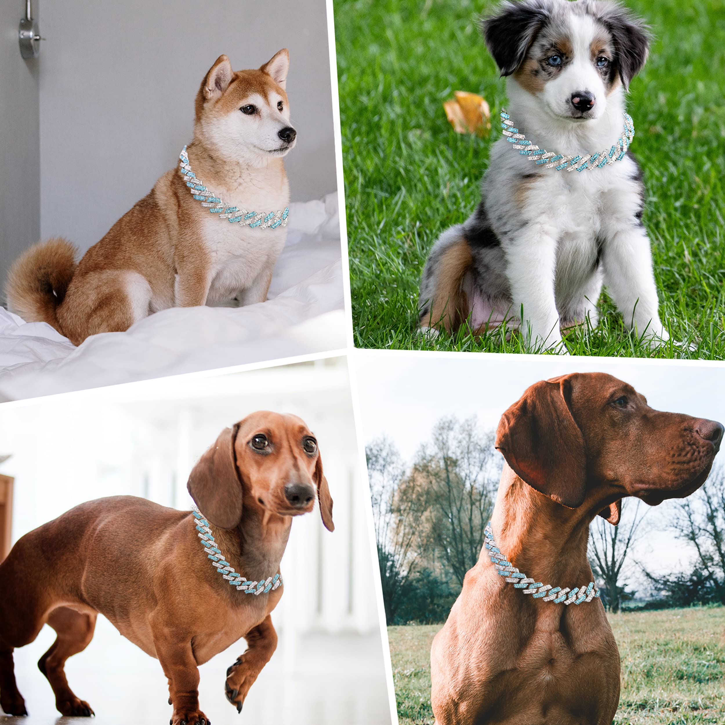 Diseño cubano dorado de FASDECON, detalle premium para tu perro.