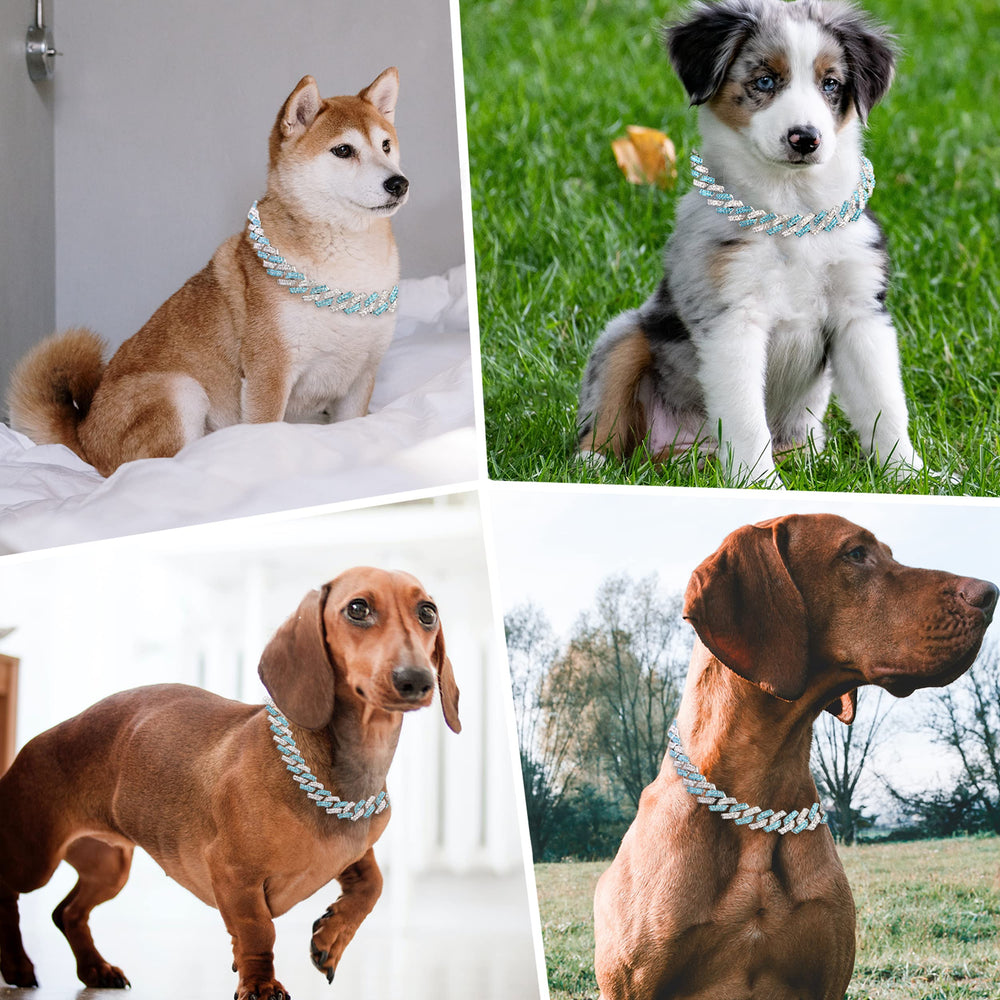 Diseño cubano dorado de FASDECON, detalle premium para tu perro.