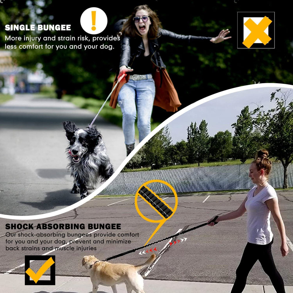 Fashion&cool uso diario para perros grandes con movilidad y seguridad.
