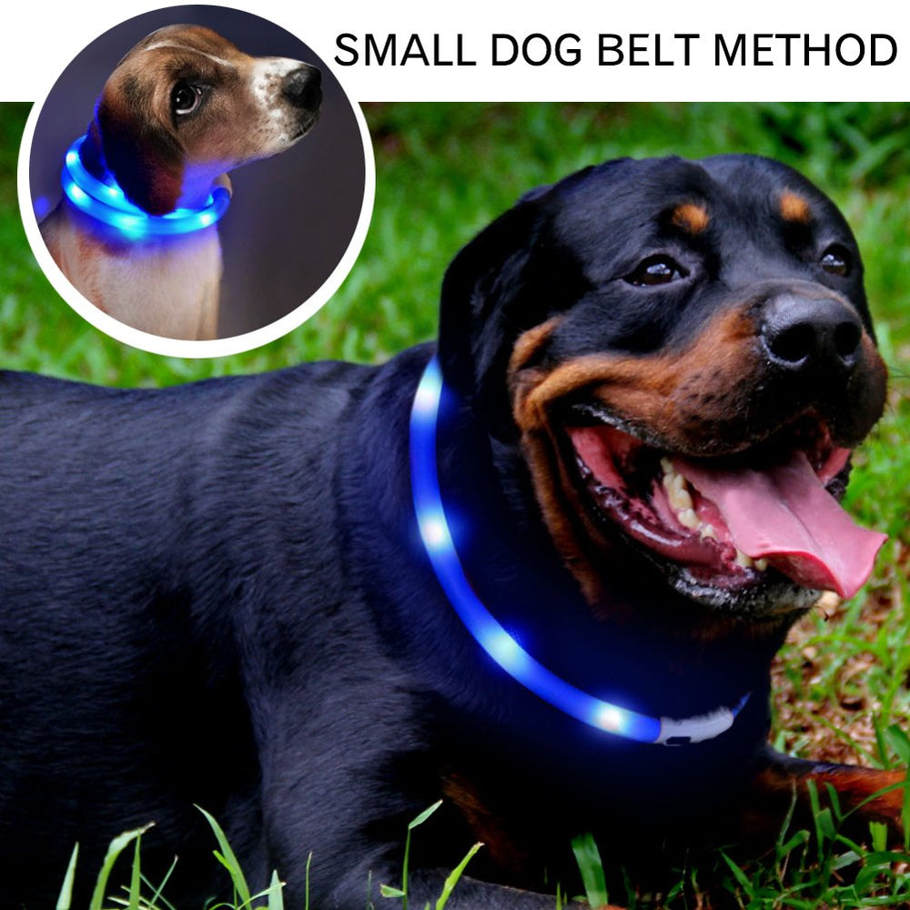 Fashioncool collar LED: brillo dinámico para mayor visibilidad.
