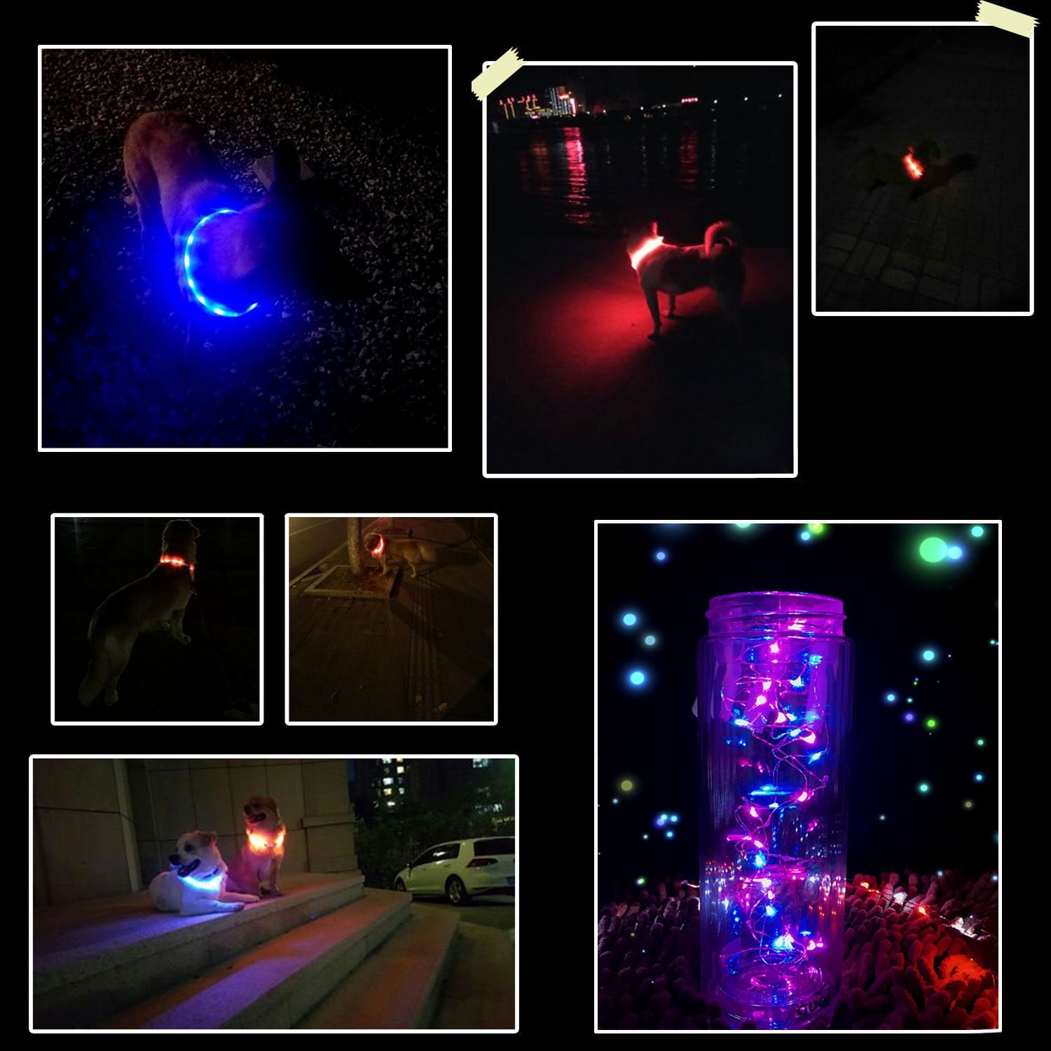Fashioncool collar LED: ligero y cómodo para paseos largos.