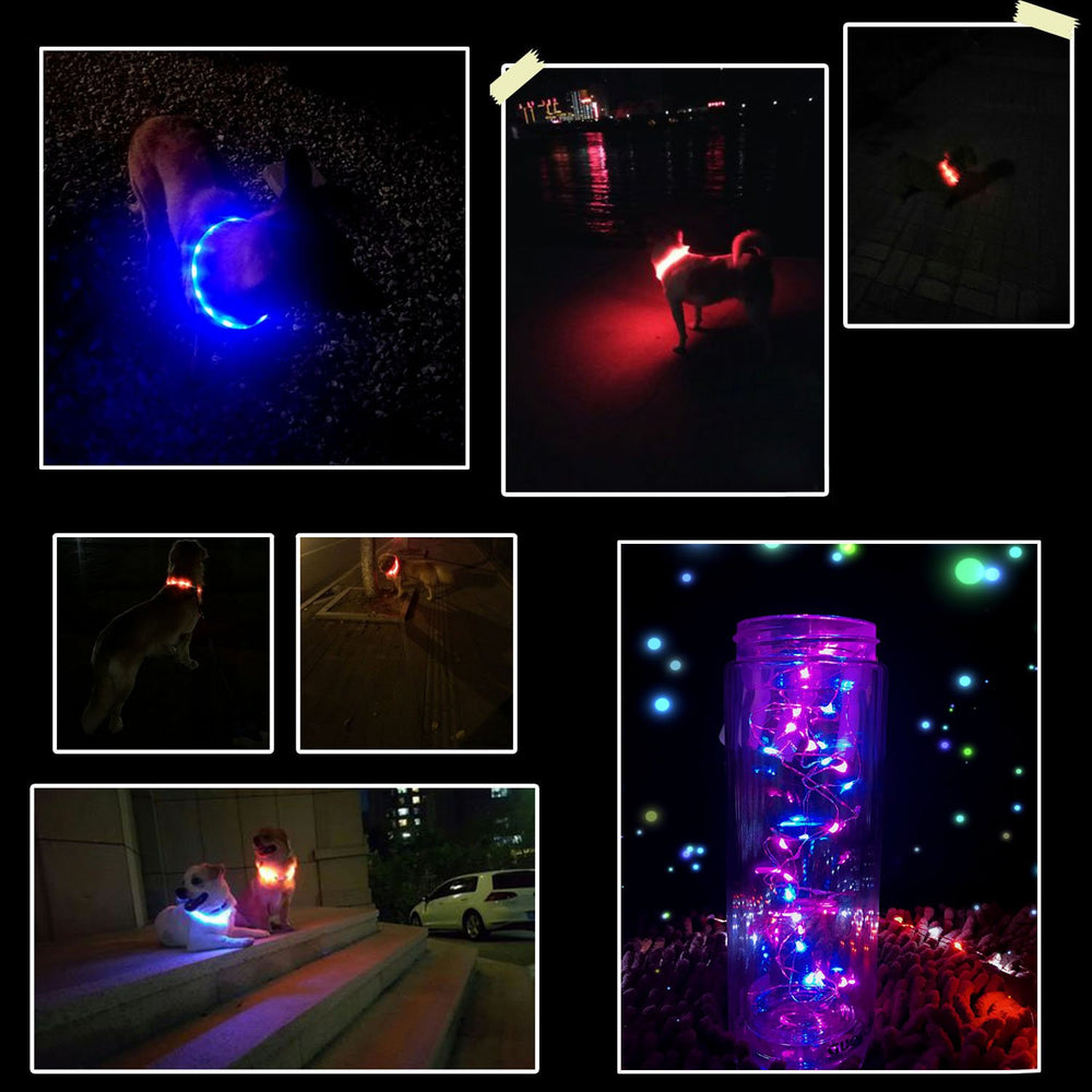 Fashioncool collar LED: ligero y cómodo para paseos largos.