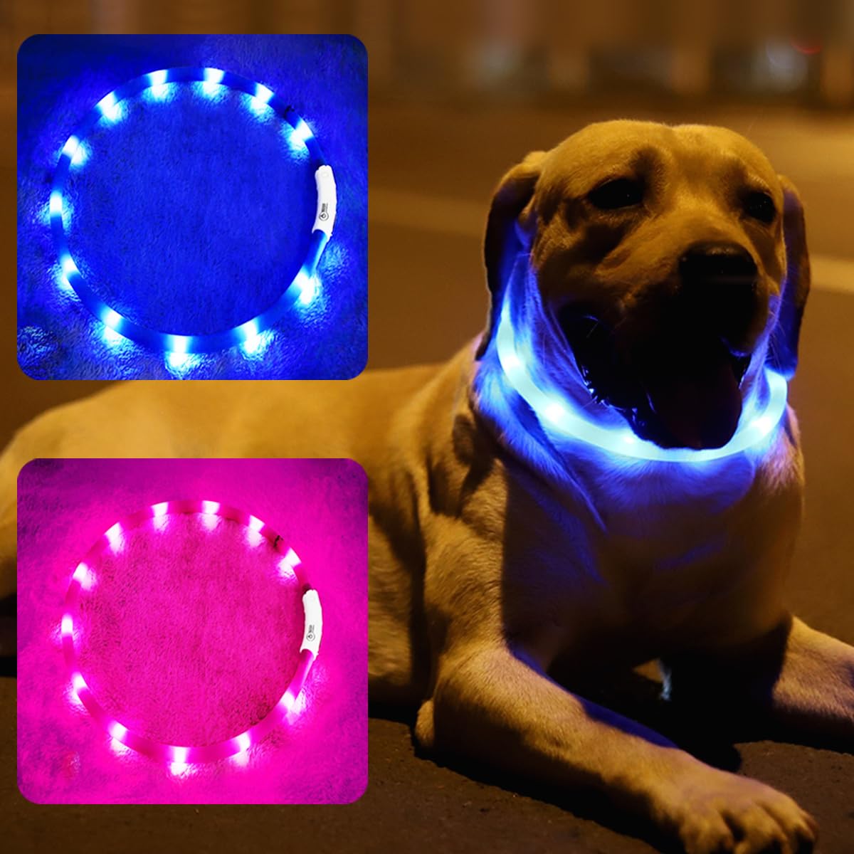 Fashion&cool collar iluminado frontal para mayor visibilidad nocturna.