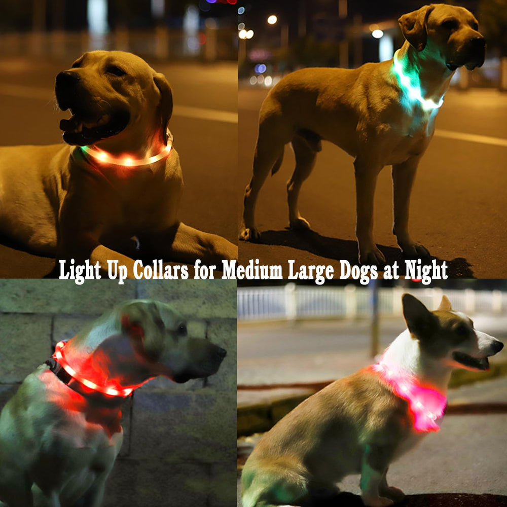 Fashion&cool collar iluminado nocturno ideal para caminatas nocturnas.