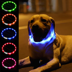 Fashioncool collar LED: visibilidad nocturna en primer plano.