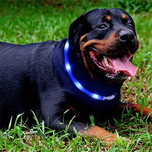 Fashion&cool collar pack dos para dos mascotas visibles.
