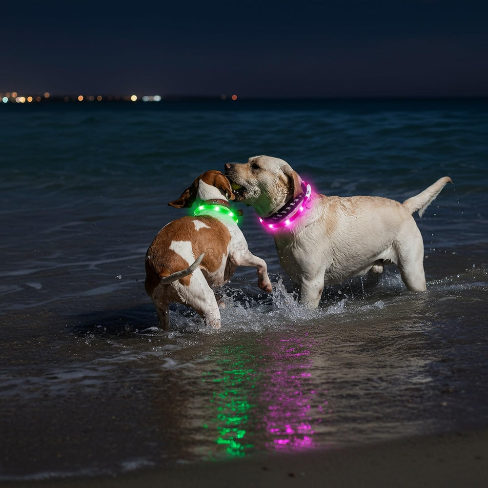 Fashion&cool collar perro con alta visibilidad de hasta 1640 pies para paseos nocturnos