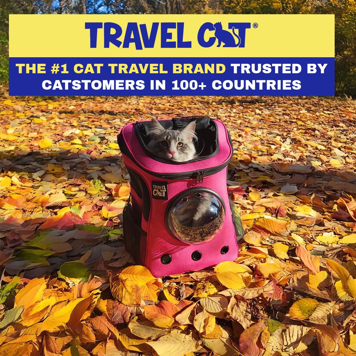 The Fat Cat correa ajustable y seguridad para una mochila versátil.