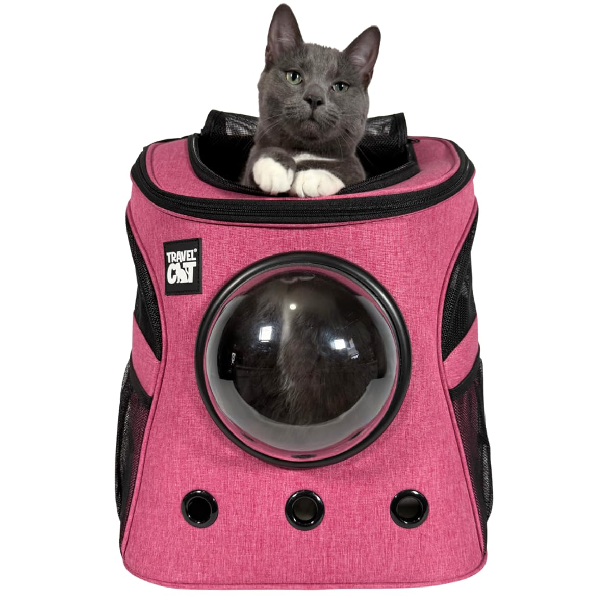 The Fat Cat mochila transportín frontal con burbuja brinda vista al exterior.