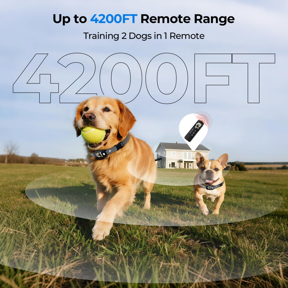 Fatjopet control-remoto-4200ft, alcance para entrenar al aire libre