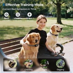 Fatjopet modos-entrenamiento-tres, ajusta la intensidad para cada perro