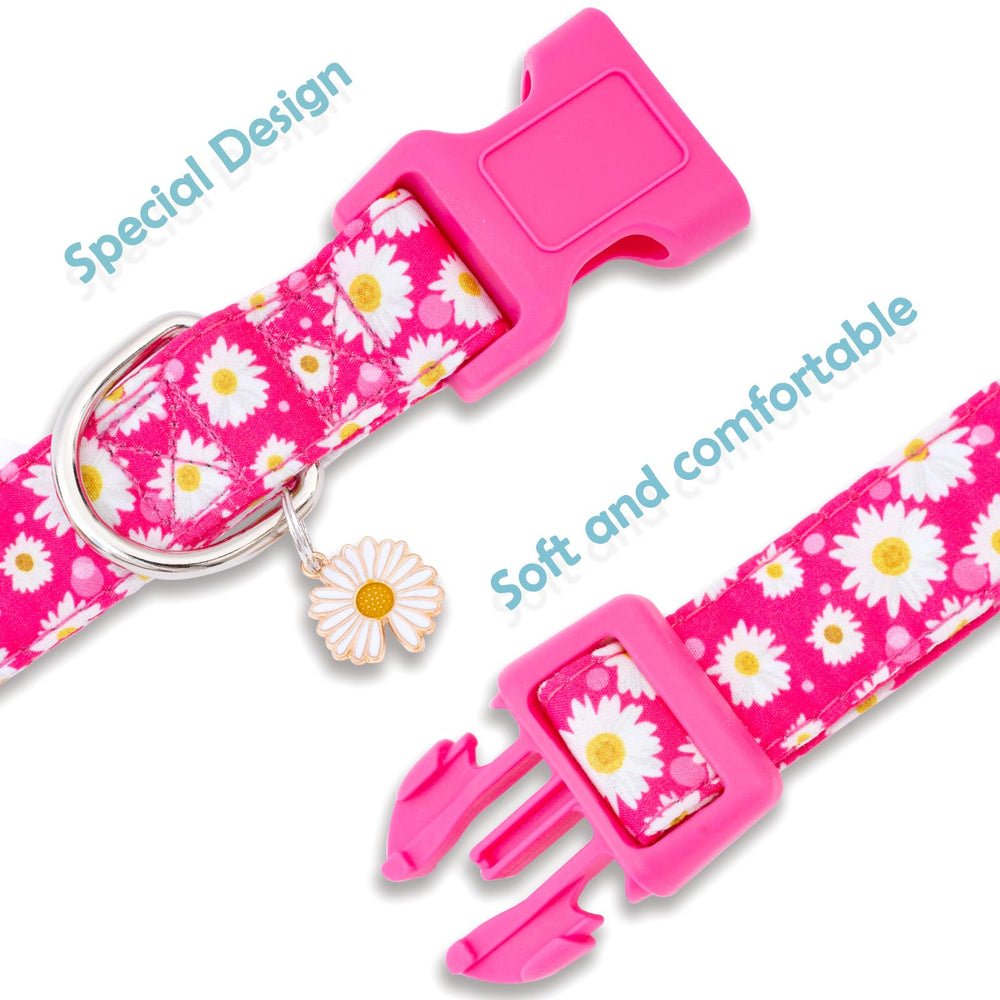 Collar Faygarsle rosa con diseño floral, look elegante para tu perro