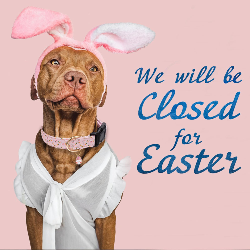 Faygarsle collar de Pascua para perros grandes y pequeños, cómodo y duradero