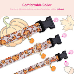 Collar Faygarsle ajustable para perros de distintos tamaños, cómodo durante el crecimiento.