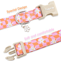Faygarsle collar con anilla en D para mayor seguridad.