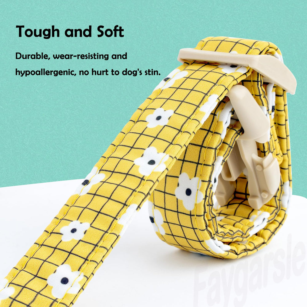 Collar Faygarsle de construcción duradera para uso diario y juego.