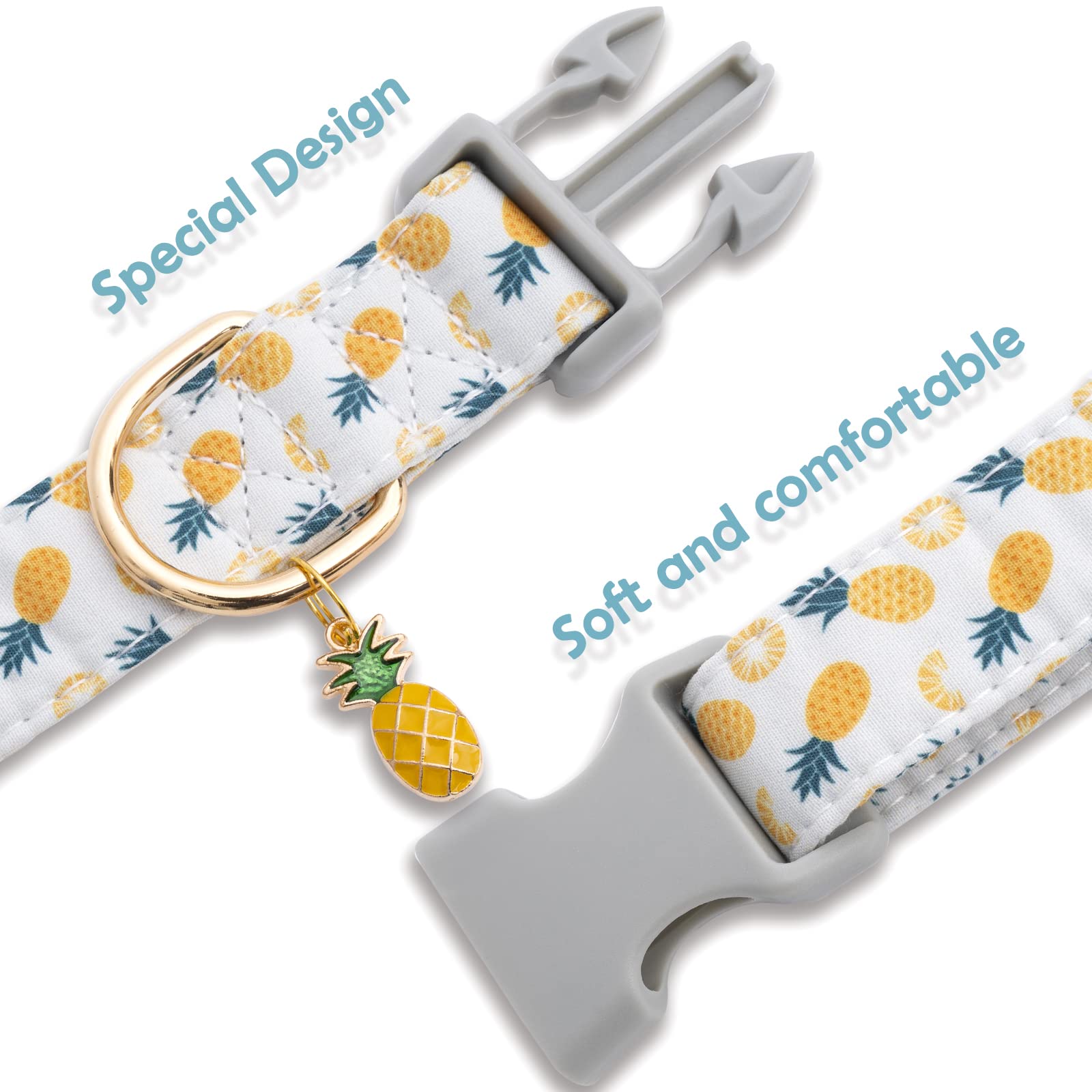 Faygarsle collar a la moda para perros de todas las tallas