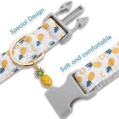 Faygarsle collar a la moda para perros de todas las tallas