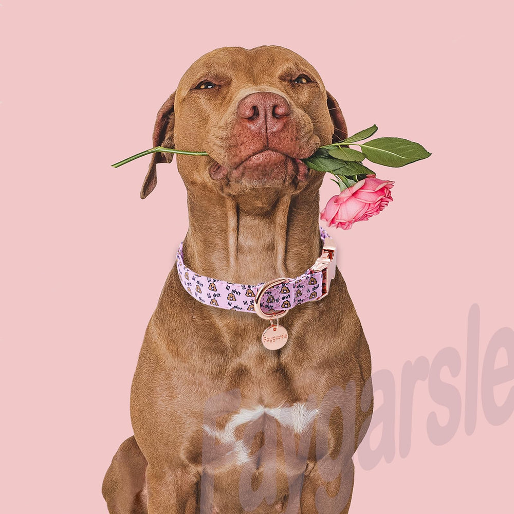 Faygarsle collar con diseño llamativo, ideal para destacar su estilo diario.