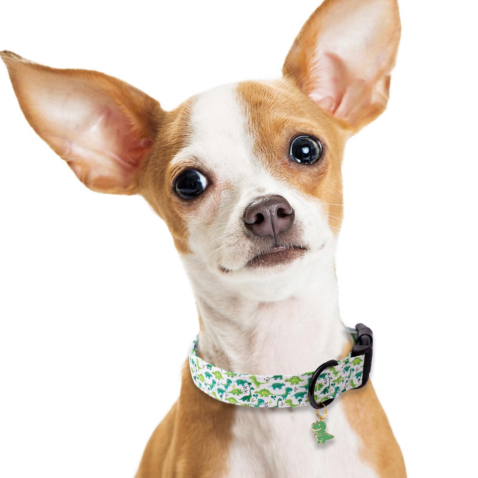 Collar Faygarsle estilo verano-primavera para fotos y eventos al aire libre.