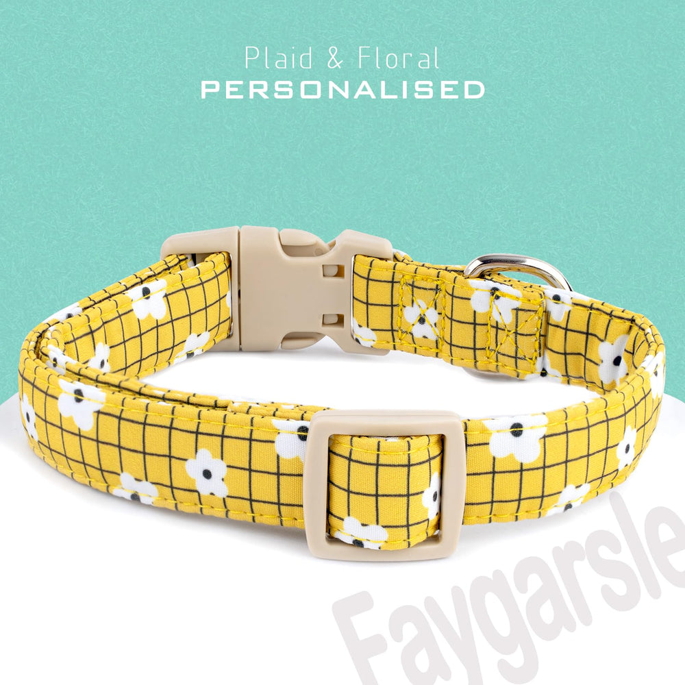 Collar Faygarsle con hebilla rápida y anilla en D, ideal para un ajuste seguro.