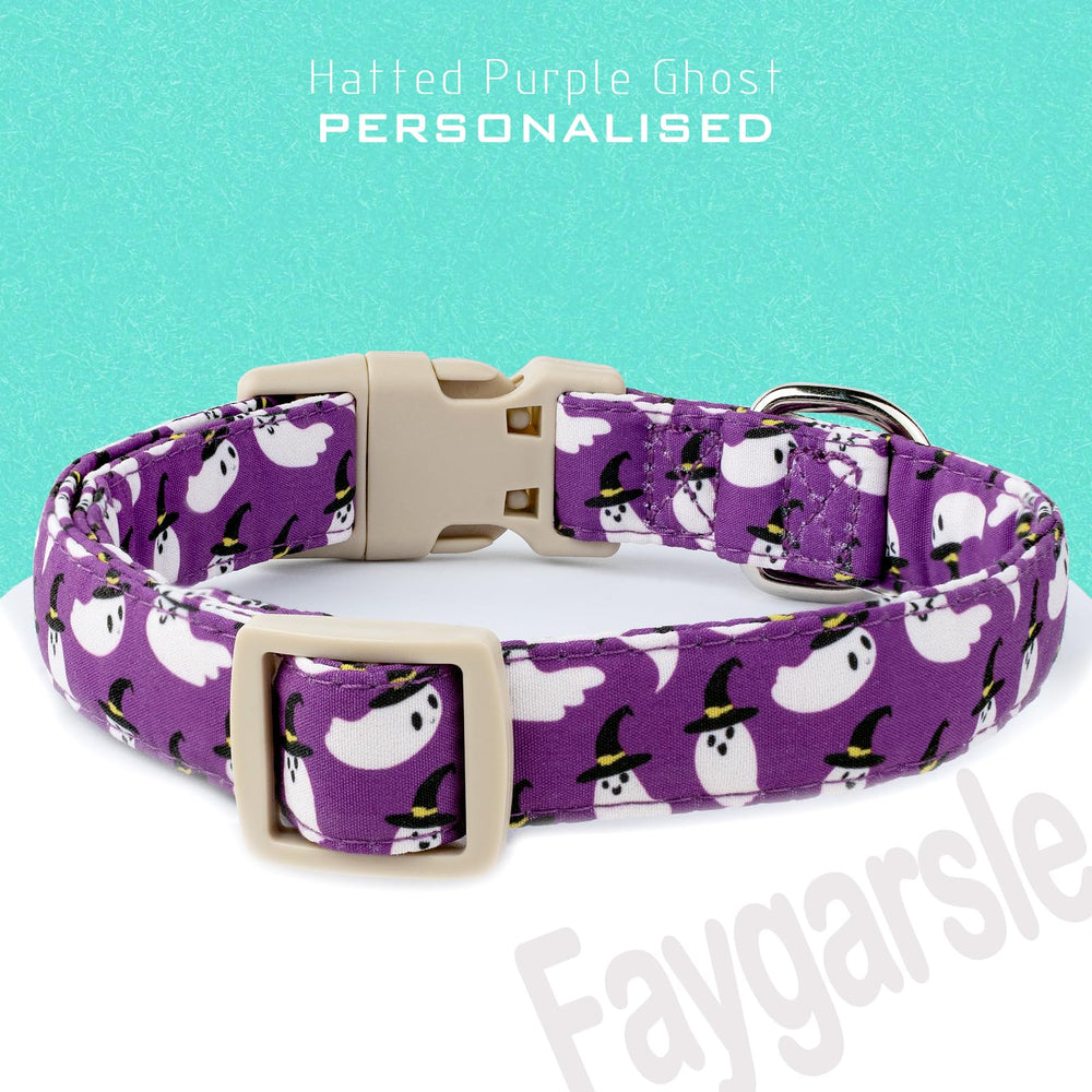 Collar Faygarsle con hebilla rápida y anilla, seguro para uso diario.