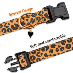 Faygarsle collar leopard marrón con anilla en D plateada para sujeción duradera.
