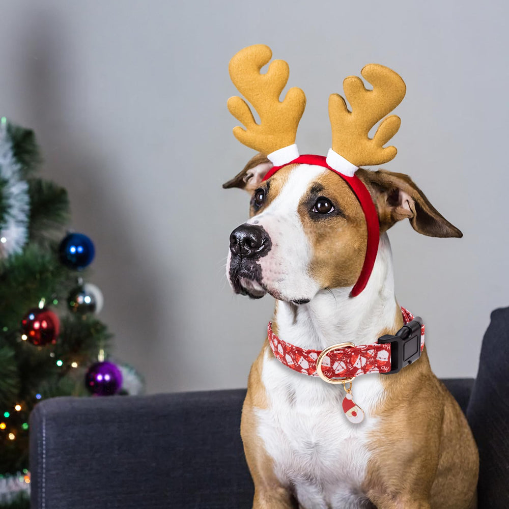 Faygarsle regalo ideal para amantes de perros durante Navidad, diseño único y práctico.