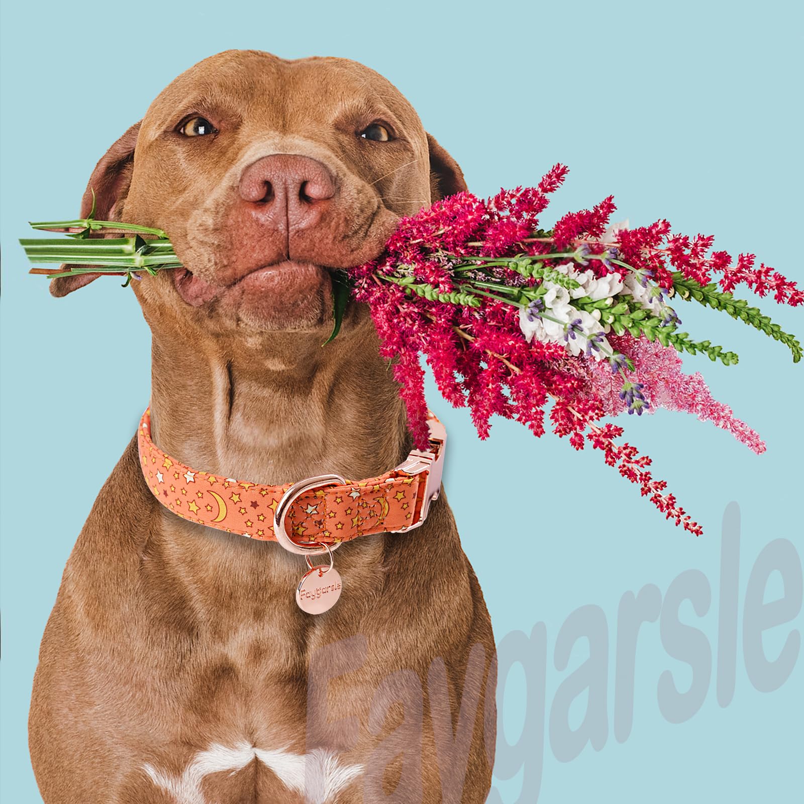 Ideal para ocasiones especiales como verano o bodas con Faygarsle.