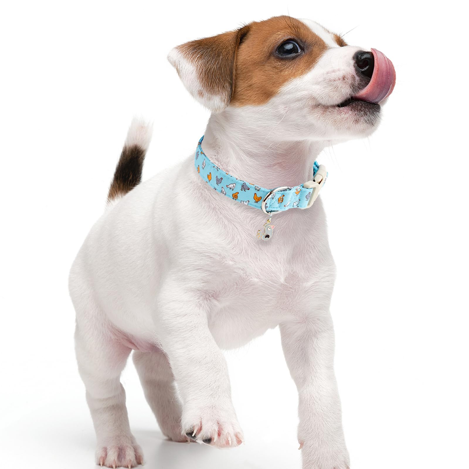 Faygarsle talla M ideal para perros medianos