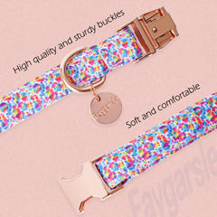 Collar Faygarsle con tallas variadas para perros pequeños a grandes.