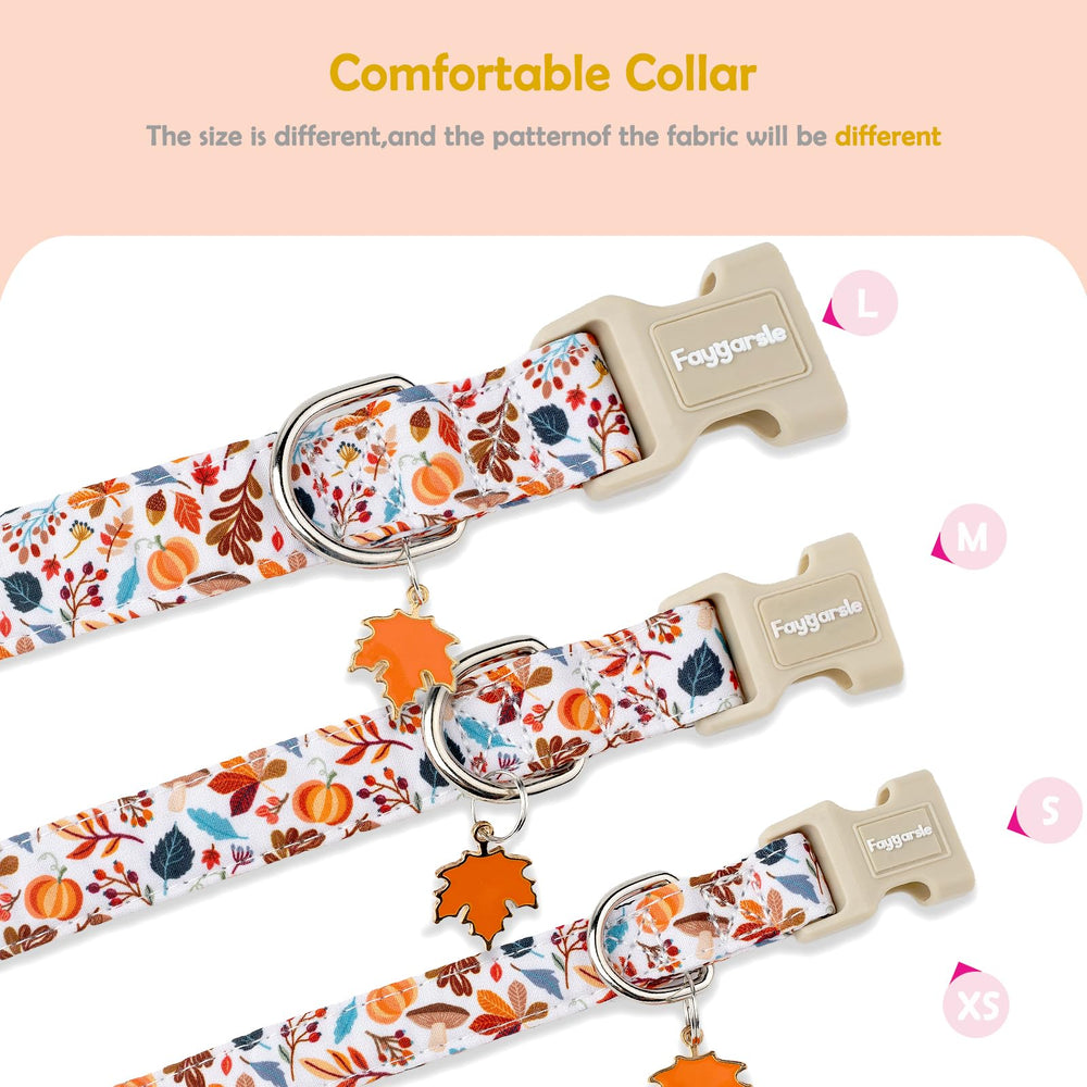 Faygarsle collar para salidas otoñales con estilo y seguridad