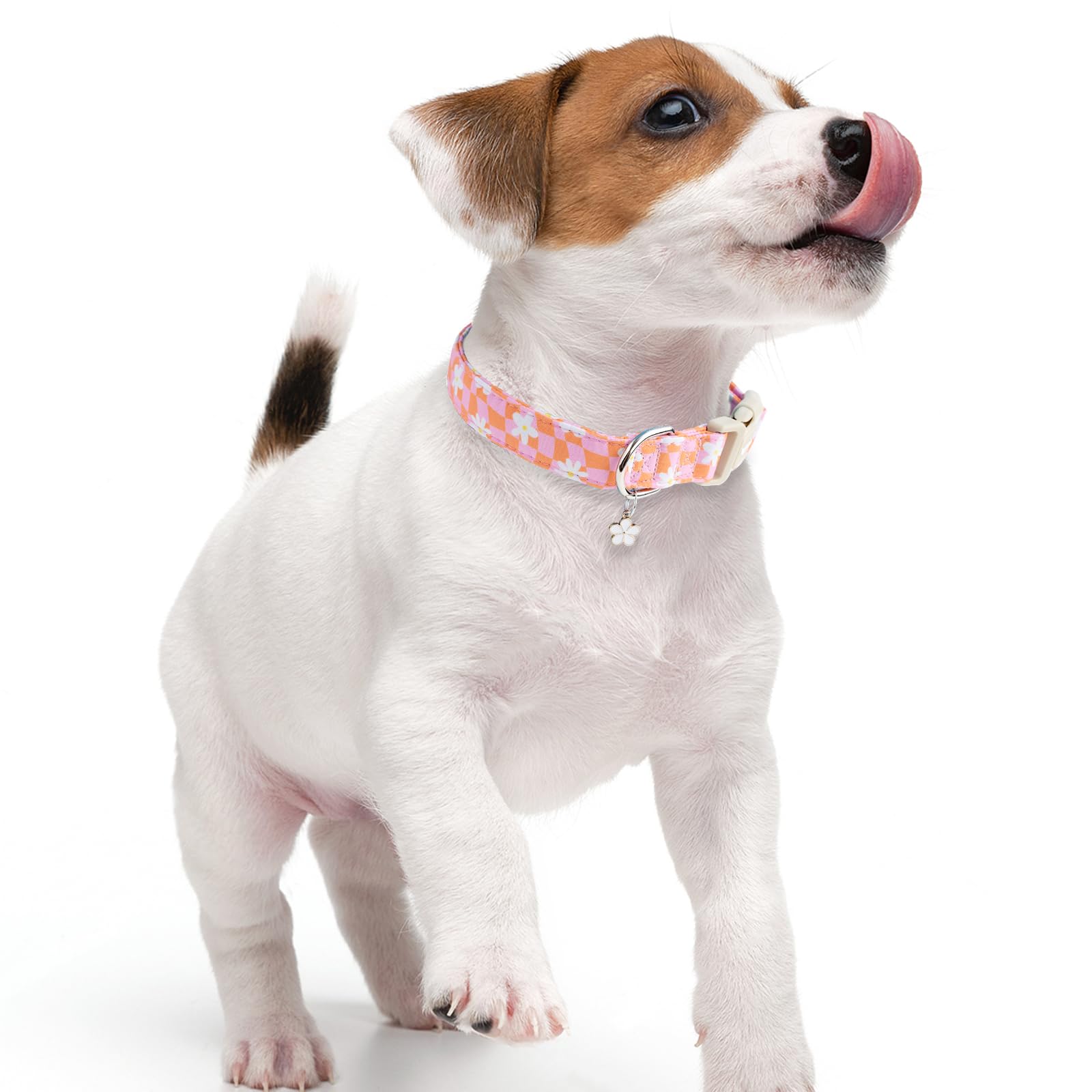 Faygarsle collar floral para primavera-verano, perfecto para paseos diarios.