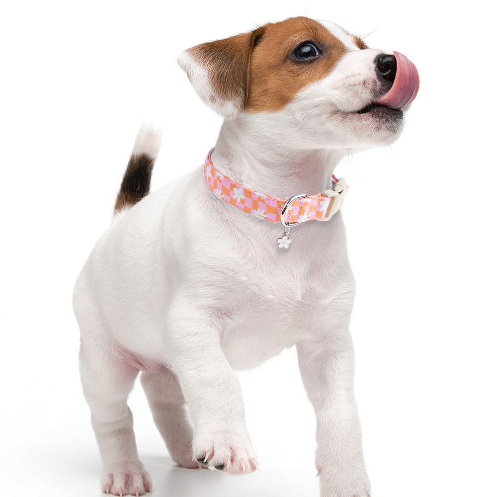 Faygarsle collar floral para primavera-verano, perfecto para paseos diarios.