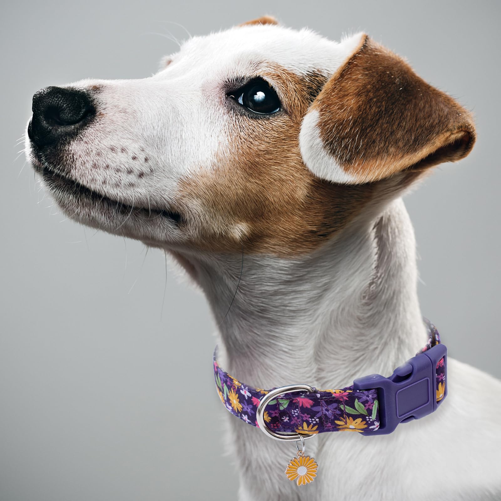 Collar Faygarsle para uso todo el año, resistente y cómodo.