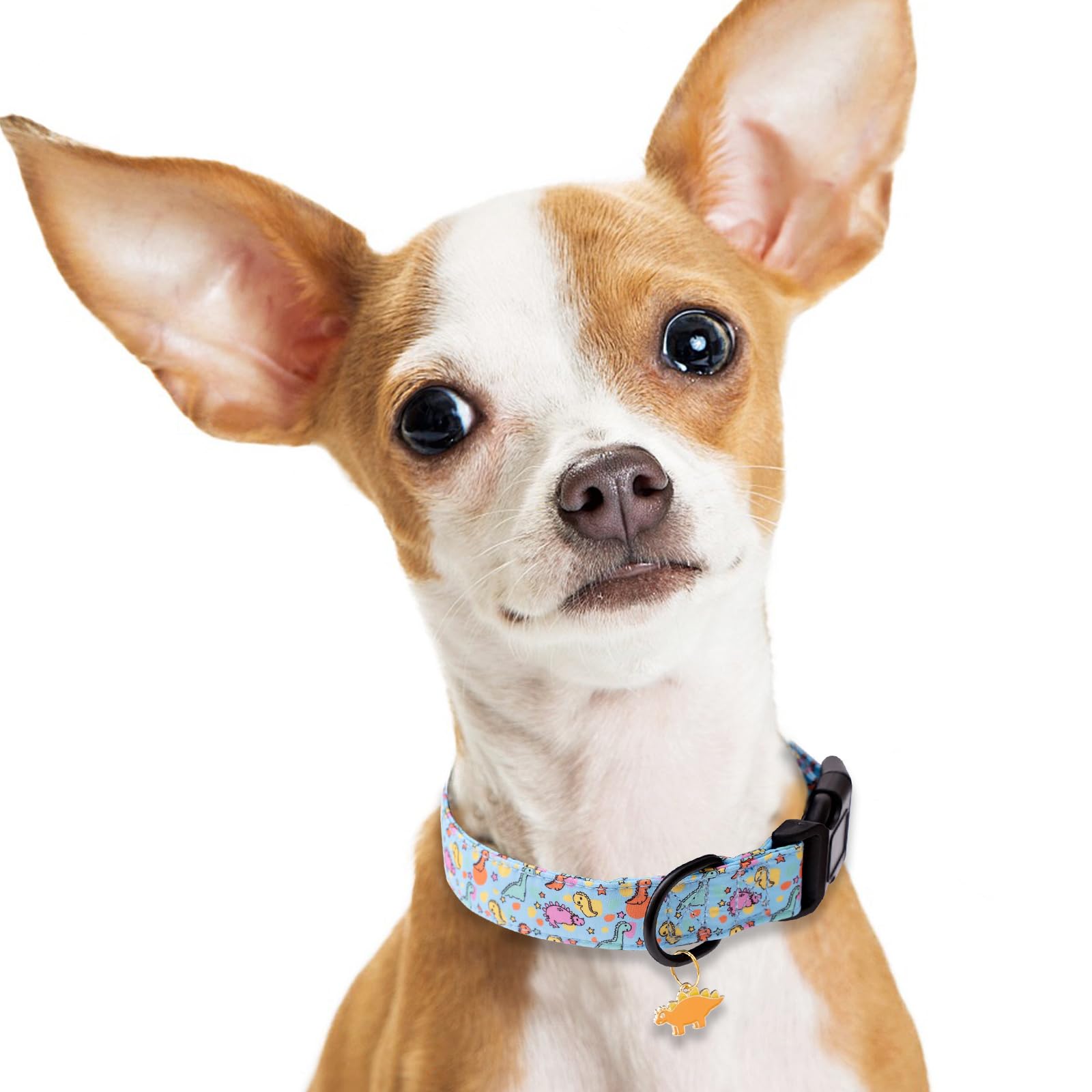 Regalo ideal para amantes de perros, Faygarsle azul y único