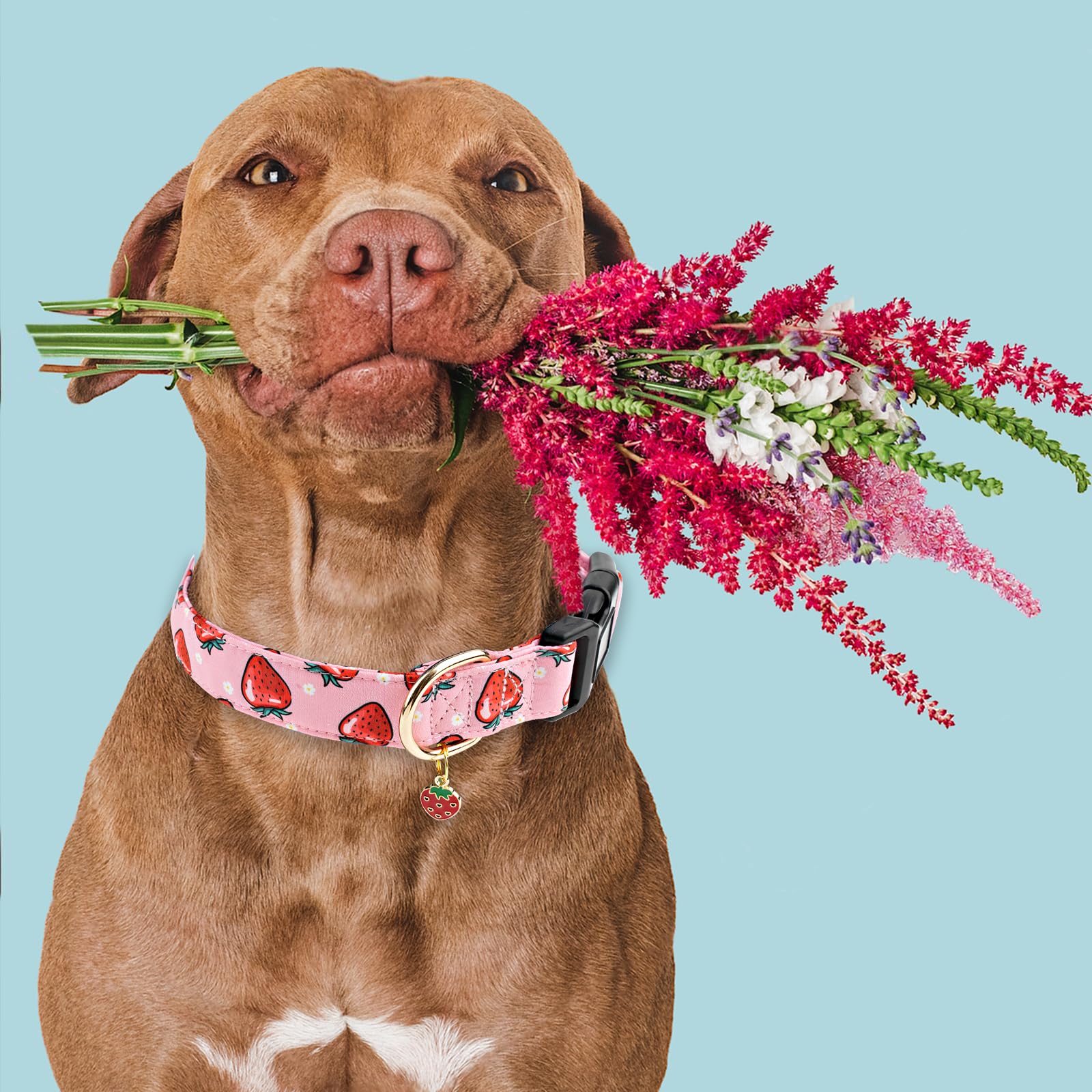 Collar Faygarsle rosa con fresa y flores, estilo primaveral para tu mascota.