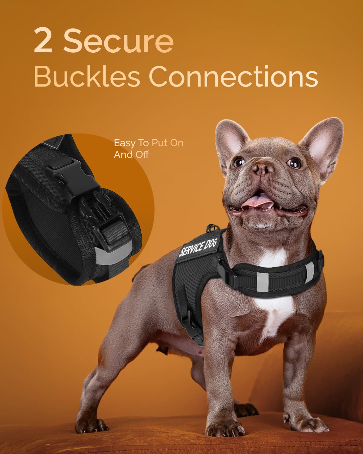 FAYOGOO ajuste de cuello y pecho para perros pequeños, cómodo y seguro