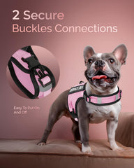 Ajuste cómodo para cuello y pecho en razas pequeñas con Fayogoo