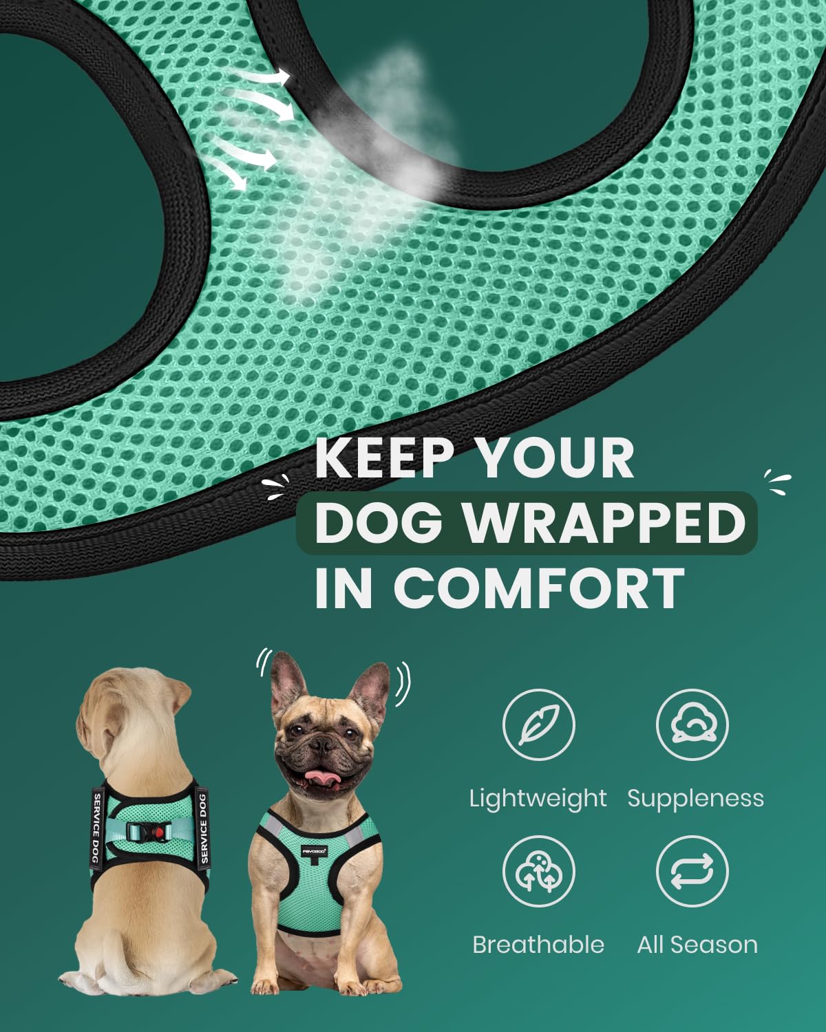 FAYOGOO arnés de entrenamiento para perros pequeños, ideal para caminatas y ejercicios.