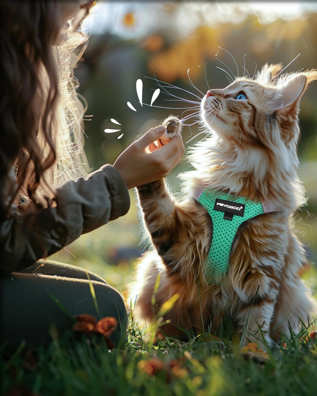 FAYOGOO Arnés gato aire-mesh-confort: transpiración reducida y suavidad.