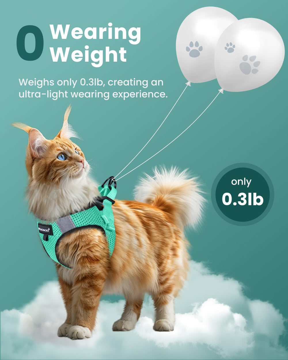 FAYOGOO Arnés gato reflectivo-noche: mayor visibilidad para paseos nocturnos.