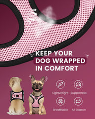 FAYOGOO arnés para perro pequeño con parches de entrenamiento y reflectantes.