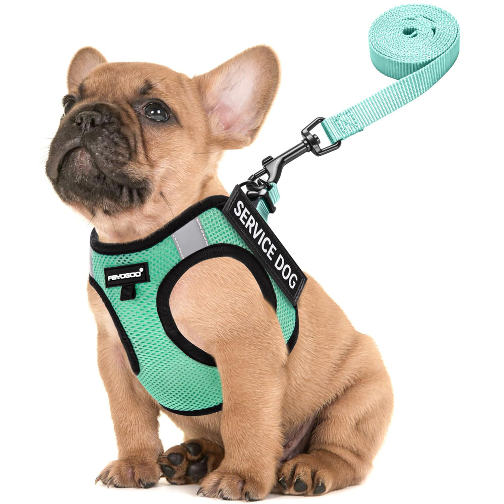 FAYOGOO arnés para perros pequeños, ligero y transpirable para paseos diarios.