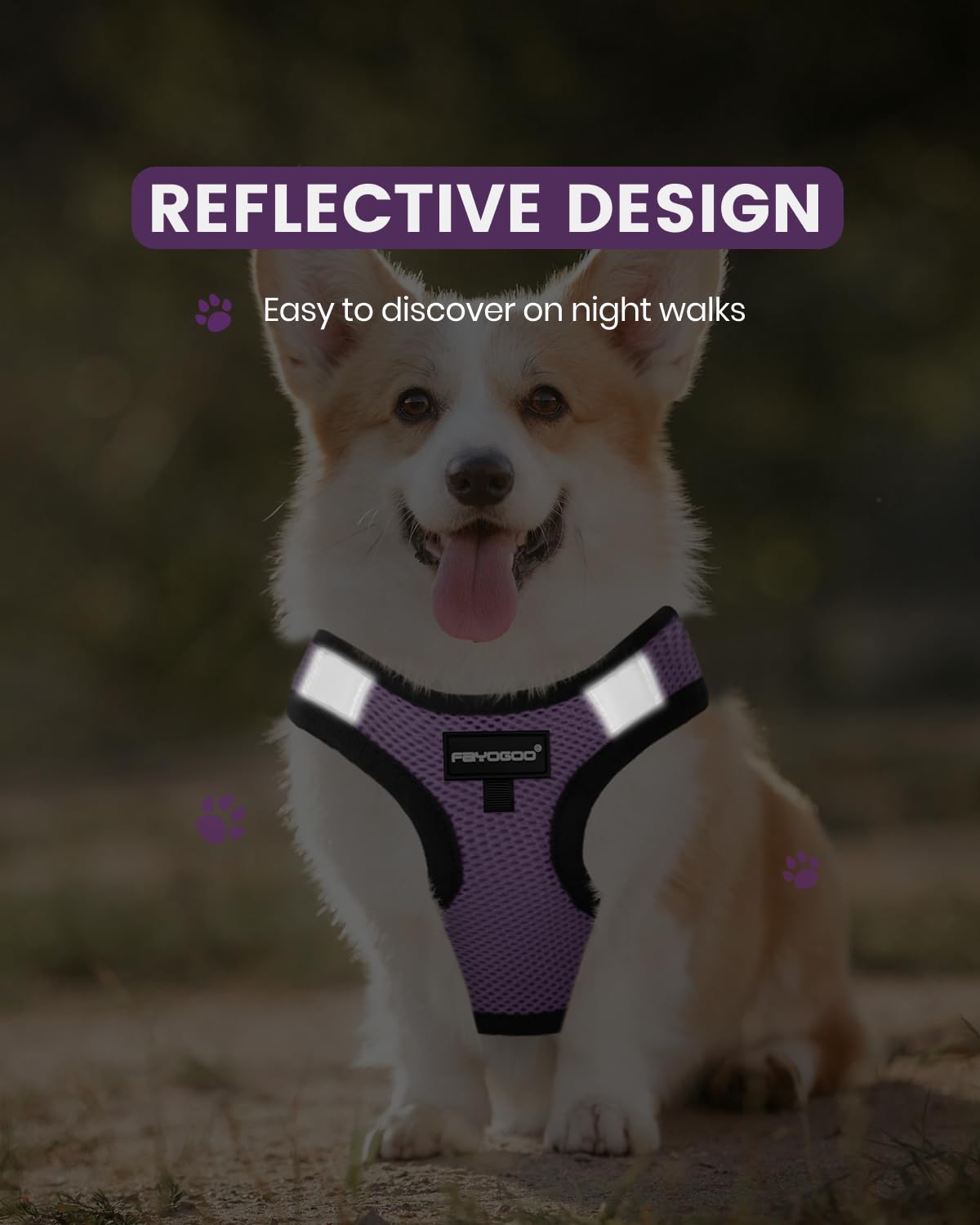 Diseño de entrada rápida FAYOGOO para vestir al perro en segundos
