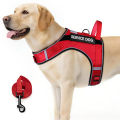 arnes fayogoo para perro de servicio grande, malla transpirable y cómodo en talla xxl
