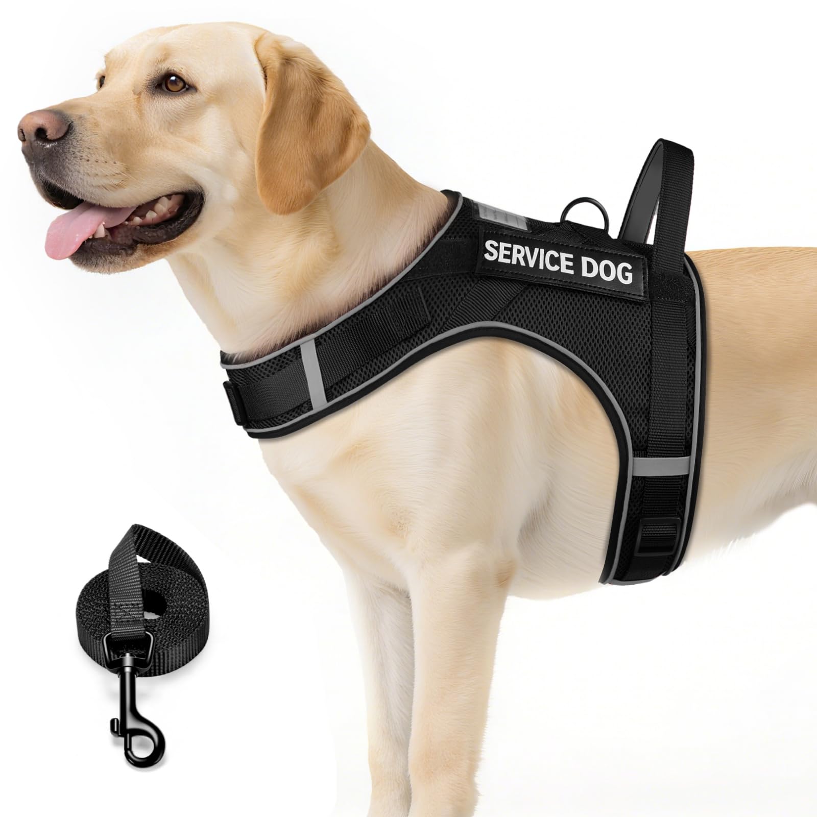 Arnés Fayogoo para perro grande con malla aire, cómodo en paseos largos.